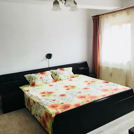 Apartment Vila Elite Brasov